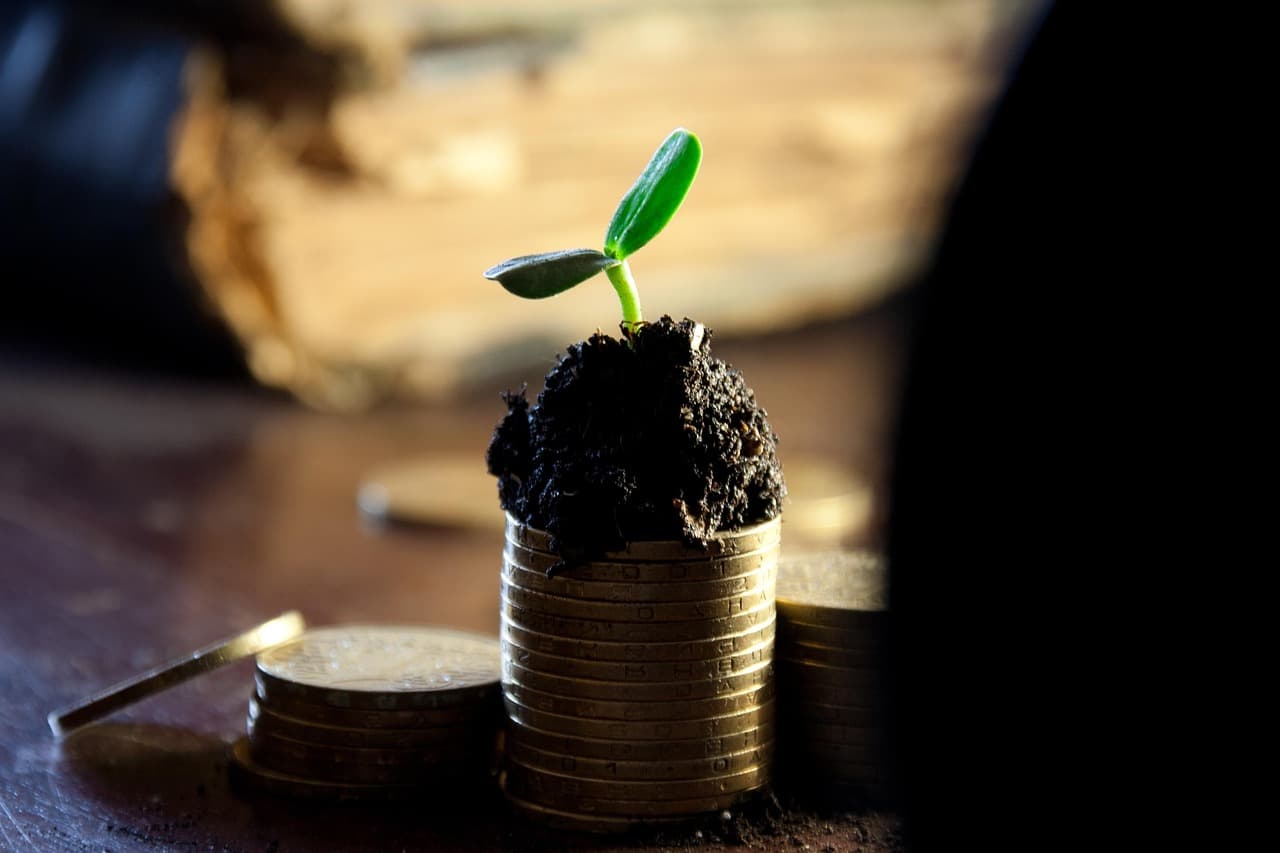 A small green plant sprouting from a stack of coins, symbolizing steady dividend income growth and long-term investing